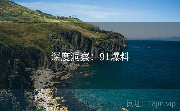 深度洞察:91爆料