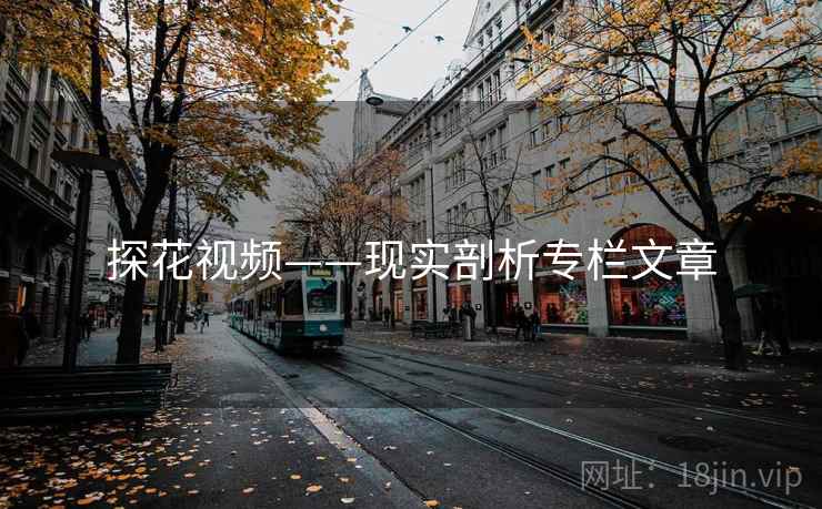 探花视频——现实剖析专栏文章