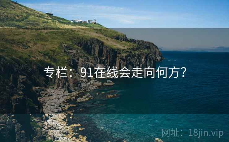 专栏:91在线会走向何方?