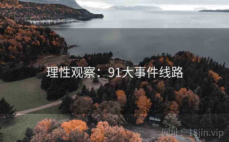 理性观察:91大事件线路