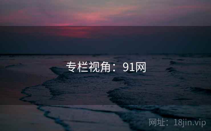 专栏视角:91网