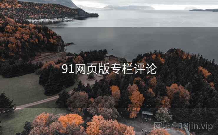 91网页版专栏评论