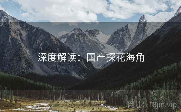 深度解读:国产探花海角
