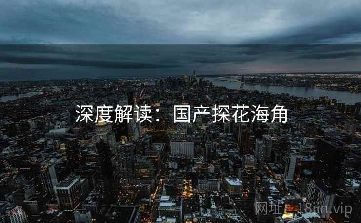 深度解读:国产探花海角