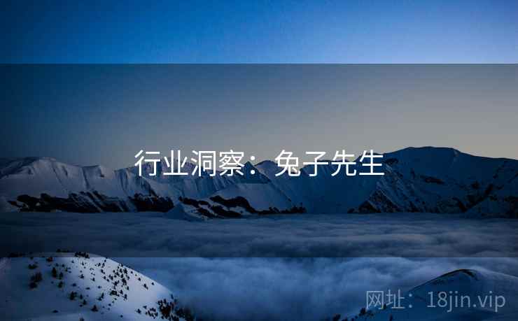 行业洞察:兔子先生