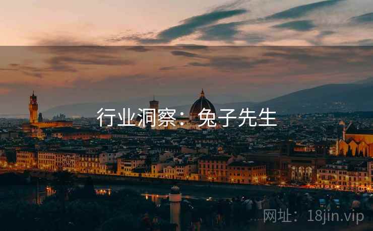 行业洞察:兔子先生