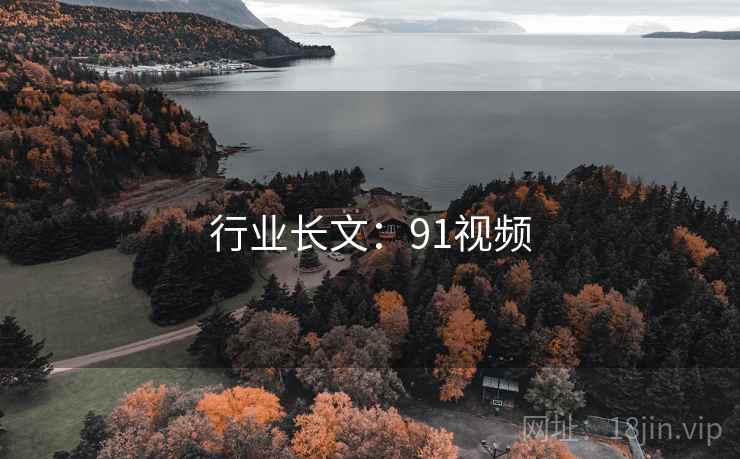 行业长文:91视频