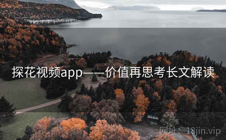 探花视频app——价值再思考长文解读