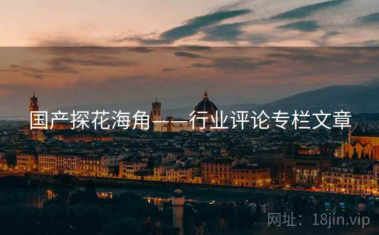 国产探花海角——行业评论专栏文章