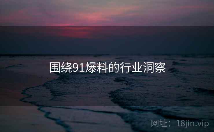 围绕91爆料的行业洞察