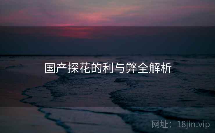 国产探花的利与弊全解析  第2张 国产探花的利与弊全解析  第2张