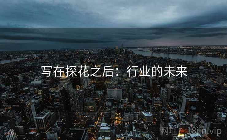 写在探花之后:行业的未来
