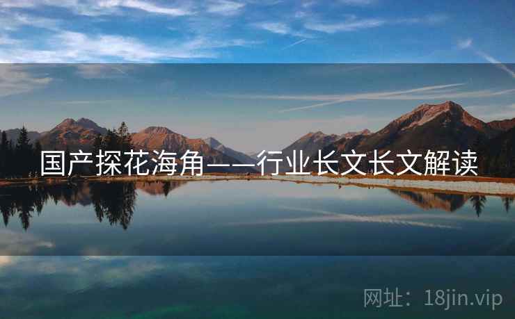 国产探花海角——行业长文长文解读