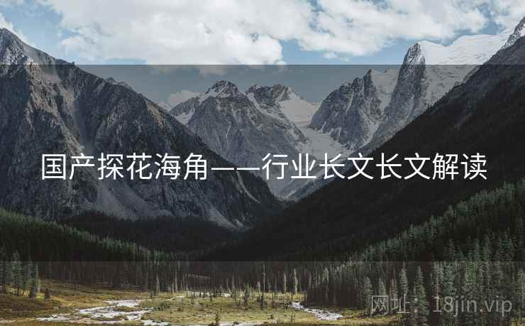 国产探花海角——行业长文长文解读