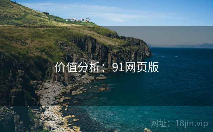价值分析:91网页版