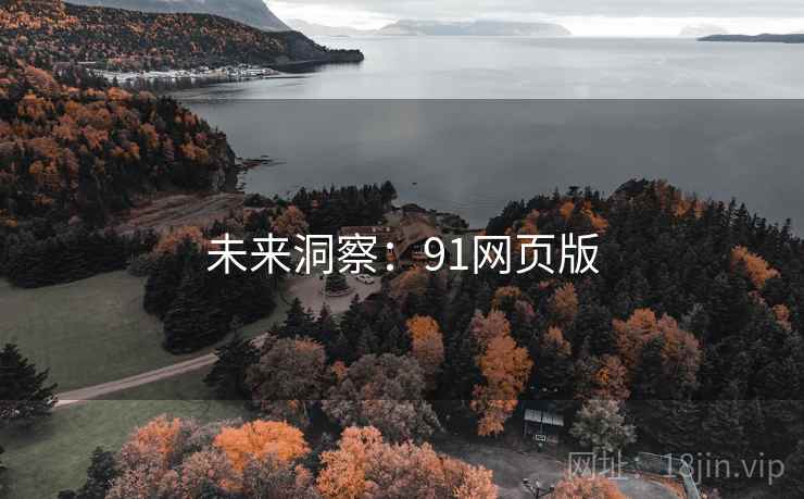 未来洞察:91网页版