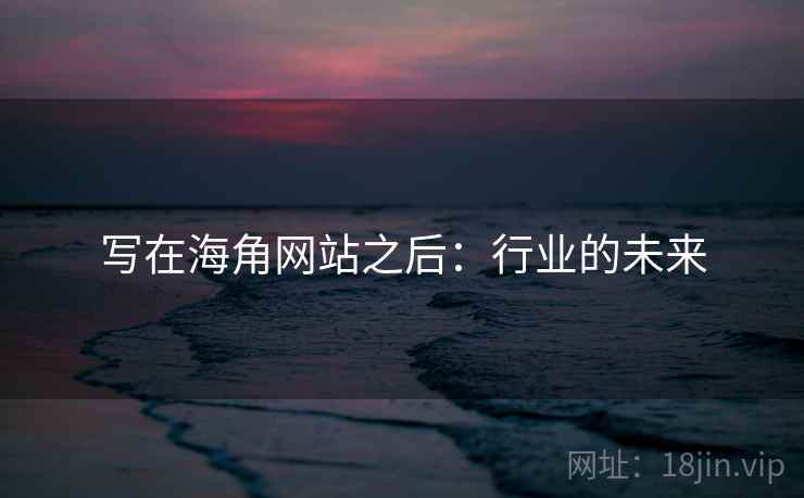 写在海角网站之后:行业的未来