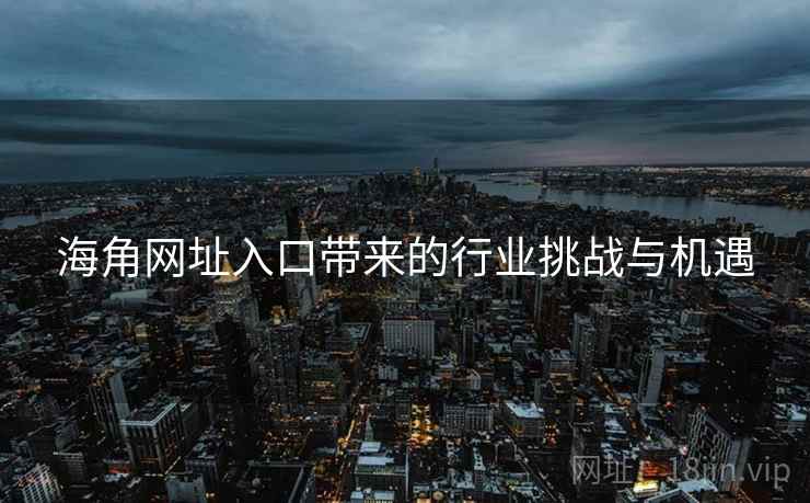海角网址入口带来的行业挑战与机遇