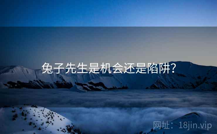 兔子先生是机会还是陷阱?