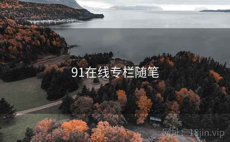 91在线专栏随笔