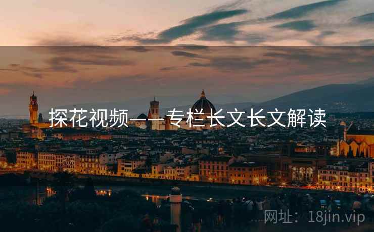 探花视频——专栏长文长文解读