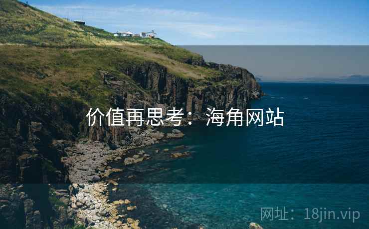 价值再思考:海角网站