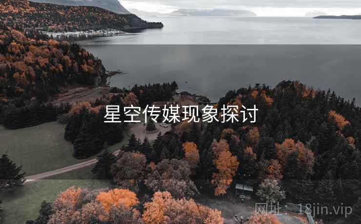 星空传媒现象探讨