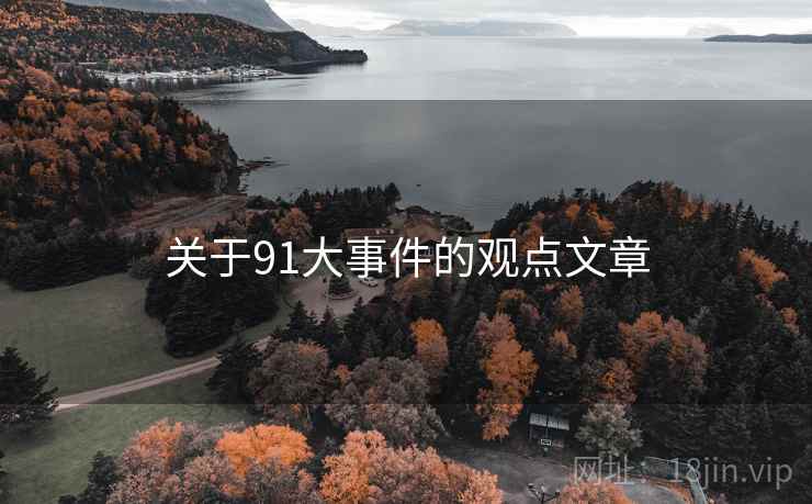 关于91大事件的观点文章