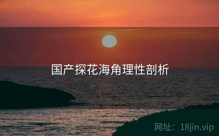 国产探花海角理性剖析