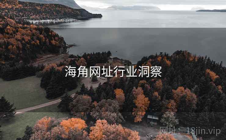 海角网址行业洞察
