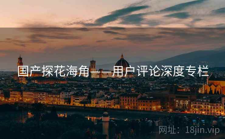 国产探花海角——用户评论深度专栏