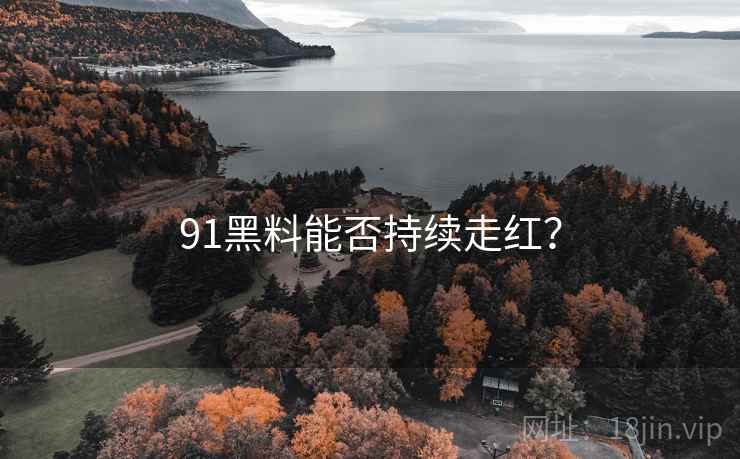 91黑料能否持续走红?