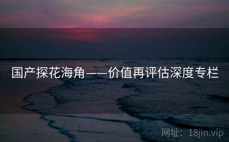 国产探花海角——价值再评估深度专栏
